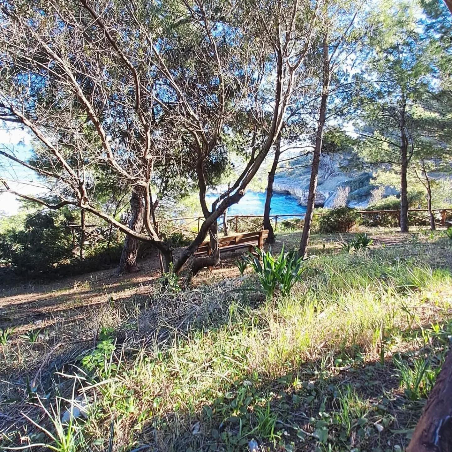 Althea Village Residence ヴィエステ エクステリア 写真